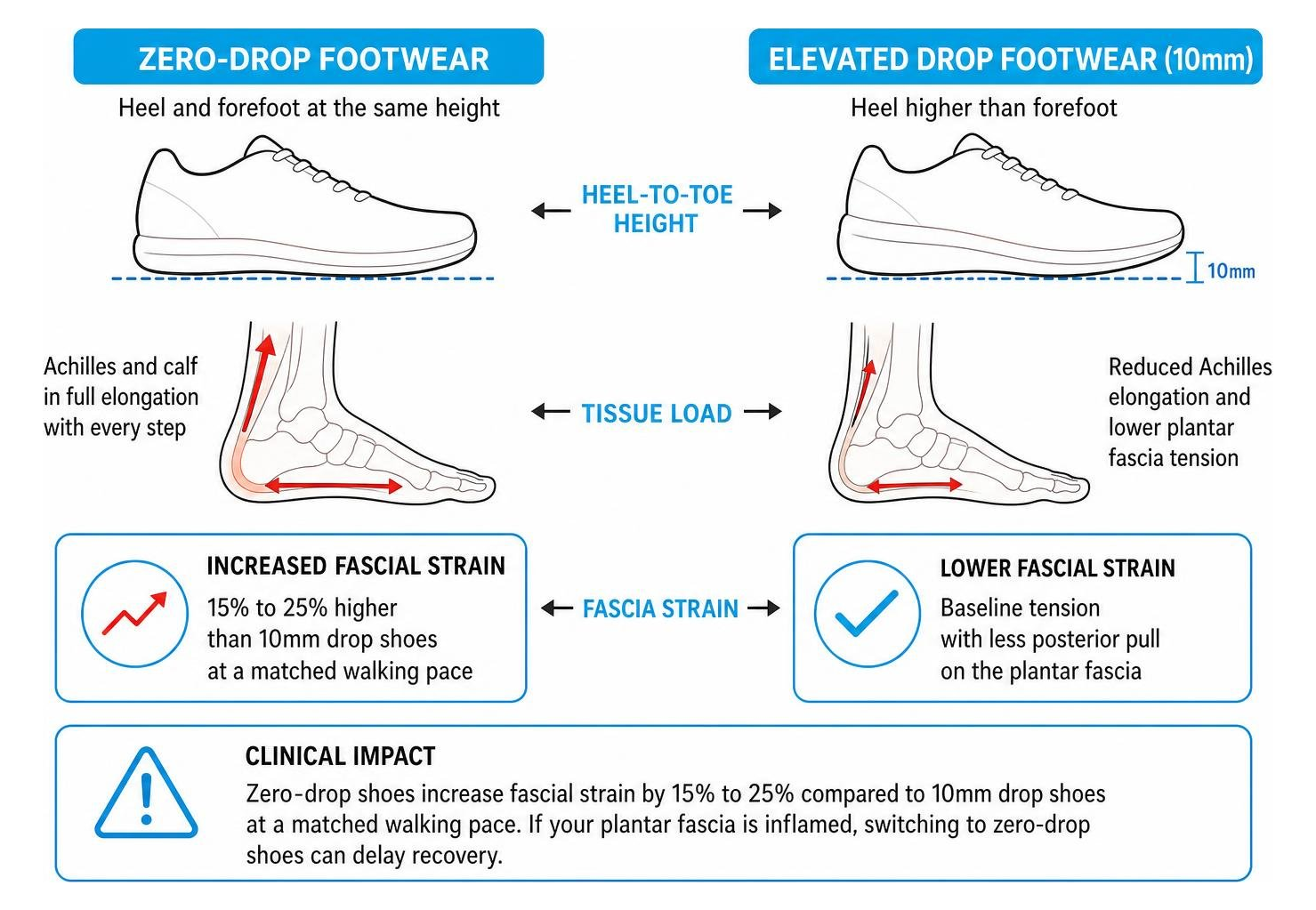 fascia strain comparison between zero drop and elevated drop footwear fascia strain comparison between zero drop and elevated drop footwear