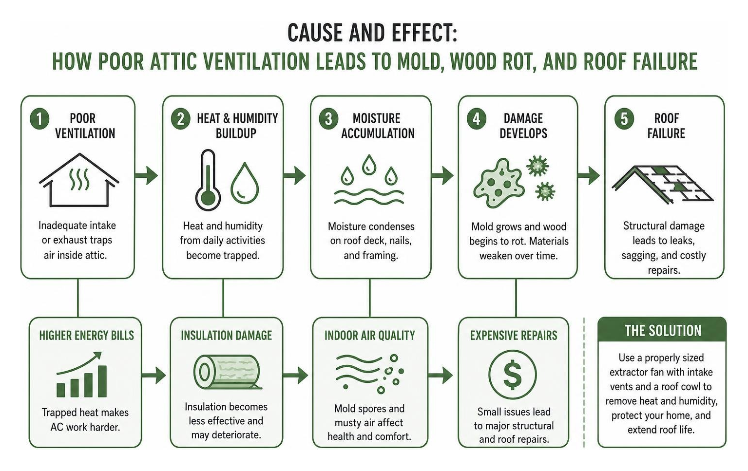 Cause and effect: How poor attic ventilation leads to mold, wood rot, and roof failure