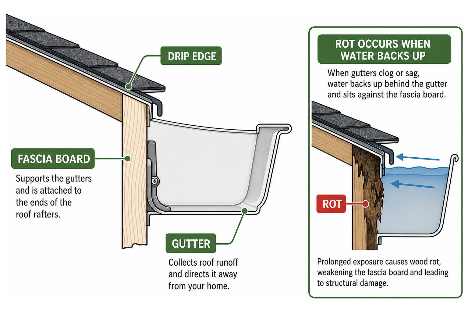 Diagram showing the cross-section of a gutter system, highlighting the fascia board, drip edge, and how rot occurs when Diagram showing the cross-section of a gutter system, highlighting the fascia board, drip edge, and how rot occurs when
