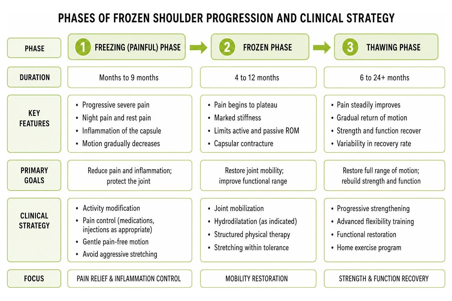 Phases of frozen shoulder progression and clinical strategy Phases of frozen shoulder progression and clinical strategy