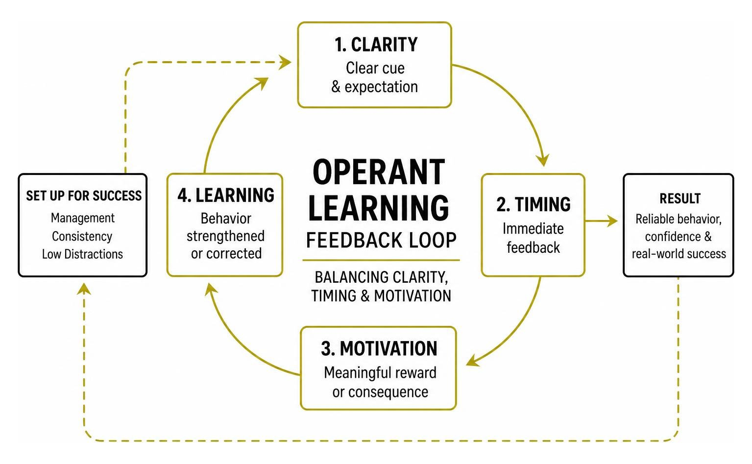 Operant learning feedback loop balancing clarity timing and motivation Operant learning feedback loop balancing clarity timing and motivation