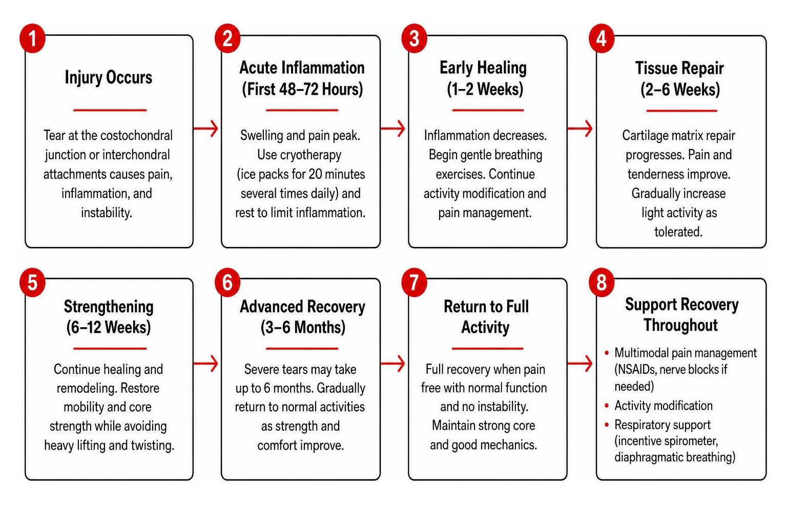 Diagram showing progressive steps for rib cartilage healing and recovery Diagram showing progressive steps for rib cartilage healing and recovery