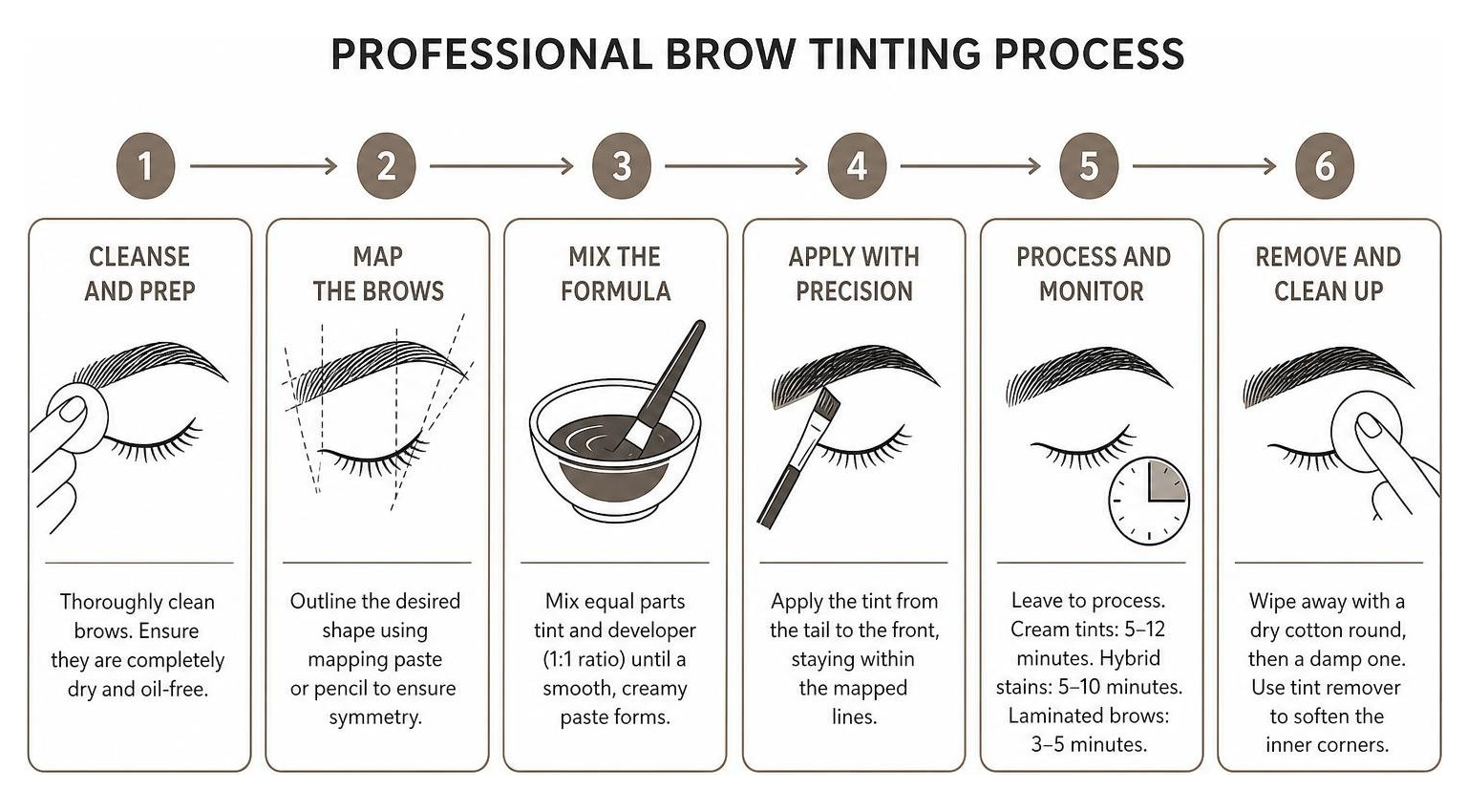 diagram of the professional brow tinting step-by-step process diagram of the professional brow tinting step-by-step process