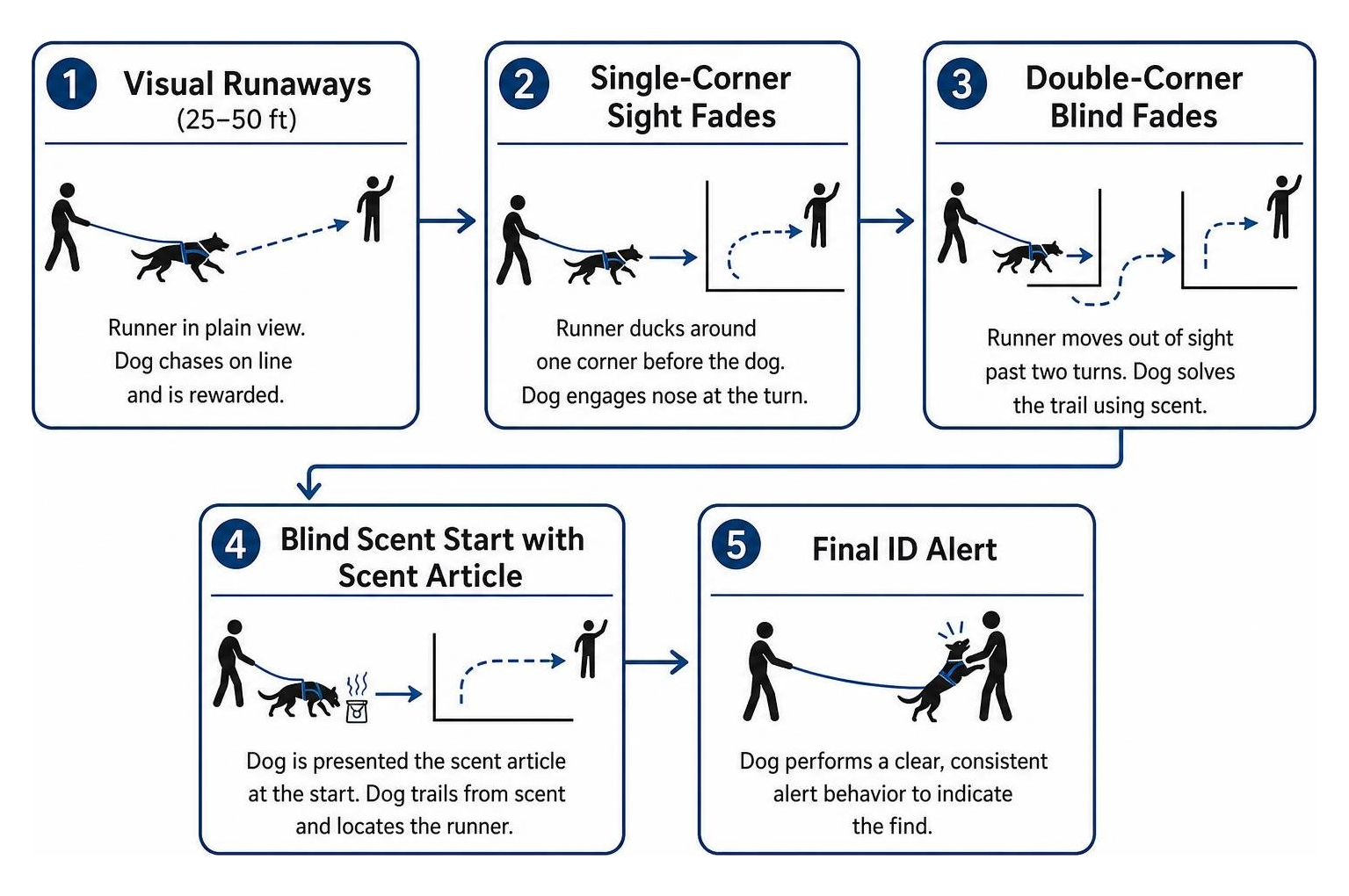Progression framework: visual runaways, single corner fades, blind scent starts, final ID alert Progression framework: visual runaways, single corner fades, blind scent starts, final ID alert