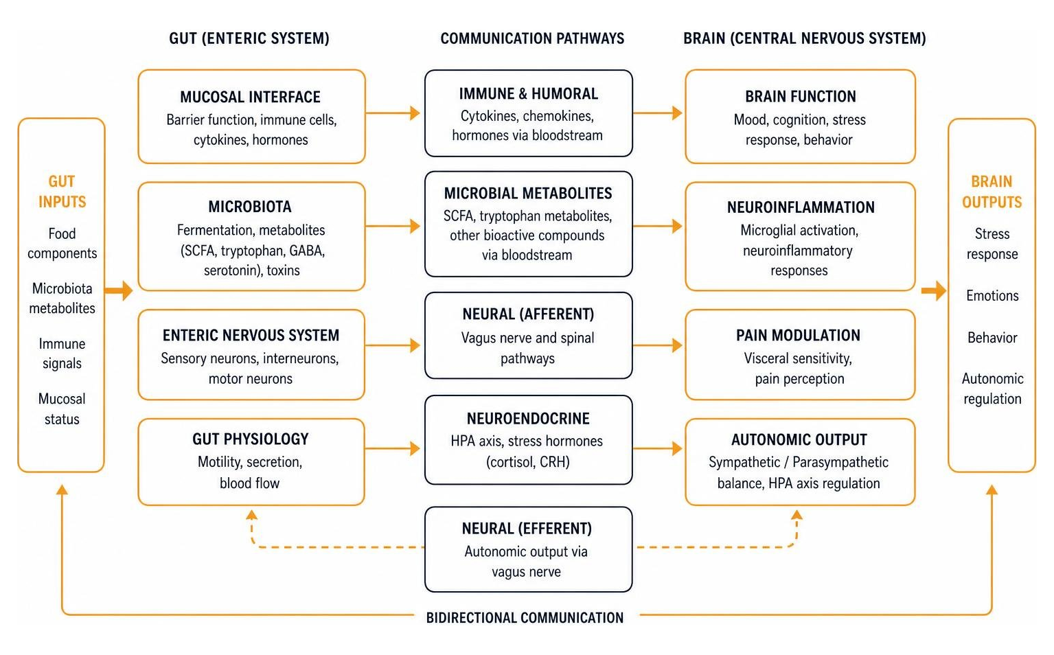 gut-brain axis communication pathways gut-brain axis communication pathways