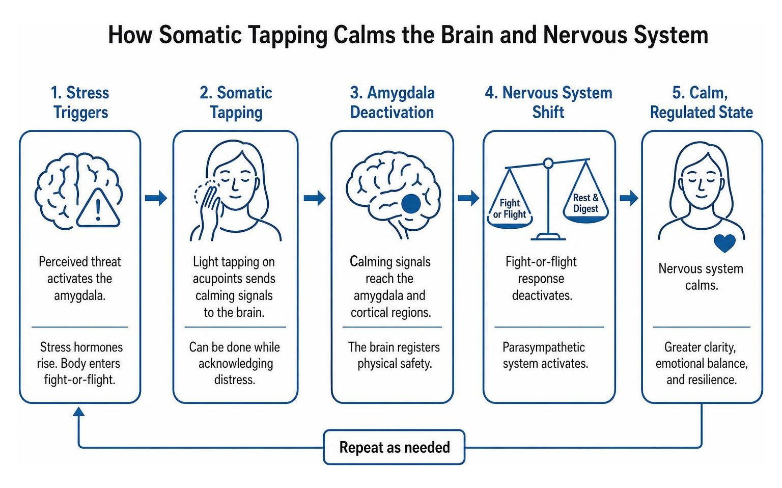 Framework showing amygdala deactivation and nervous system calming through somatic tapping Framework showing amygdala deactivation and nervous system calming through somatic tapping