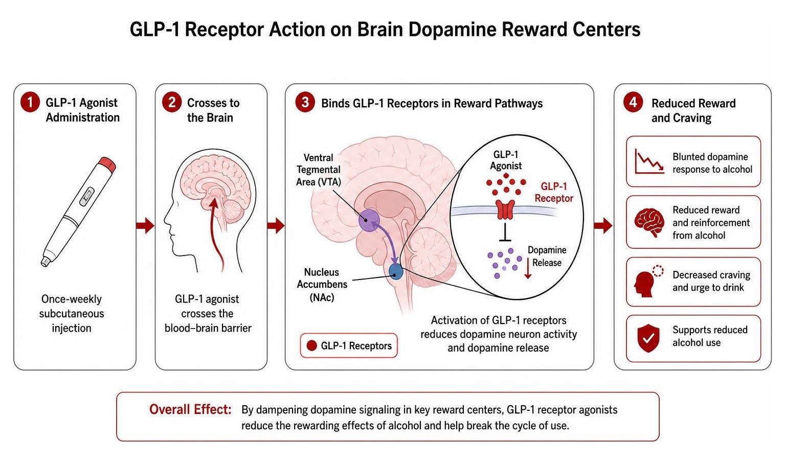 diagram showing GLP-1 receptor action on brain dopamine reward centers diagram showing GLP-1 receptor action on brain dopamine reward centers