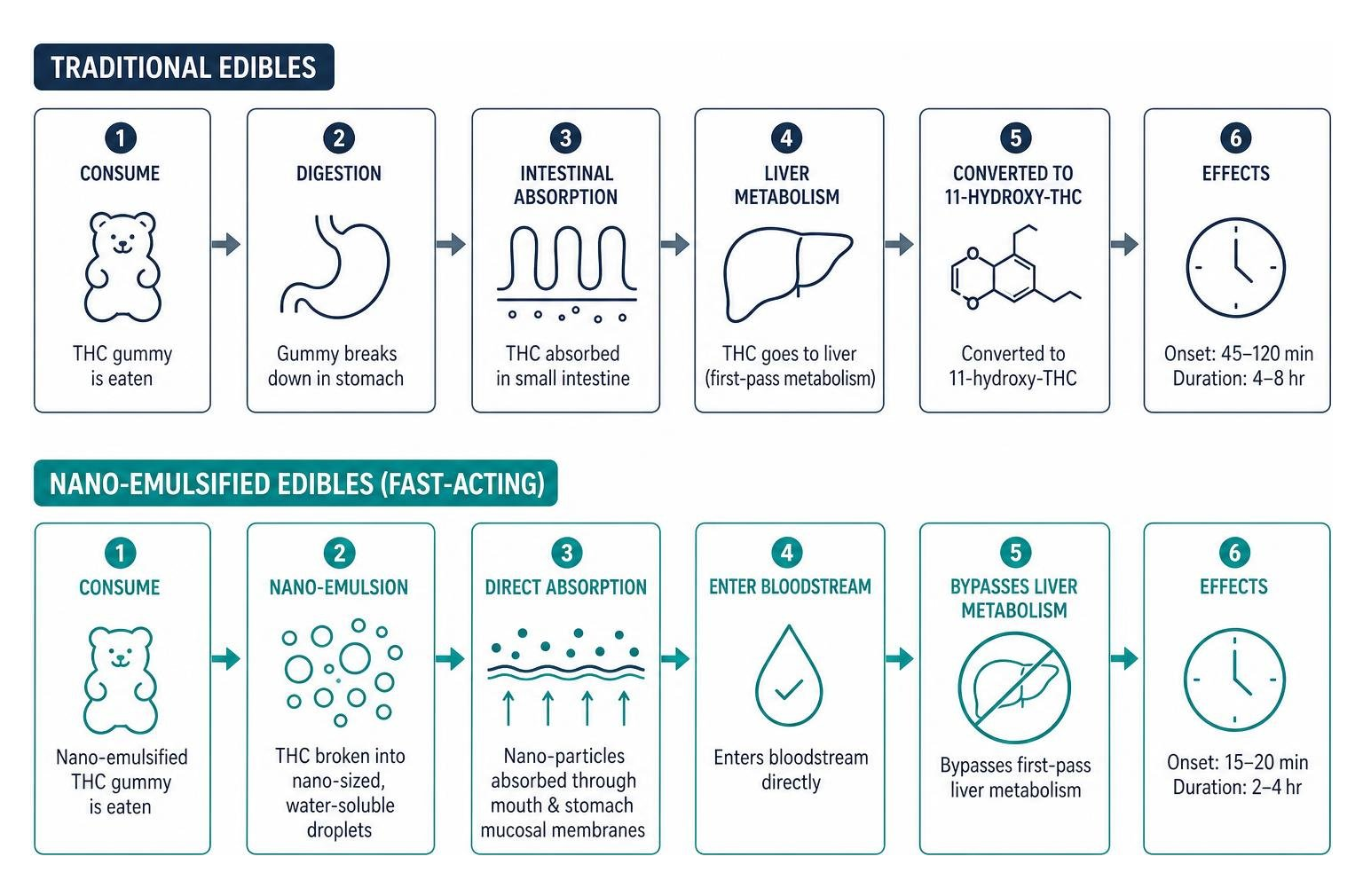Process of nano-emulsified THC absorption vs traditional liver metabolism Process of nano-emulsified THC absorption vs traditional liver metabolism
