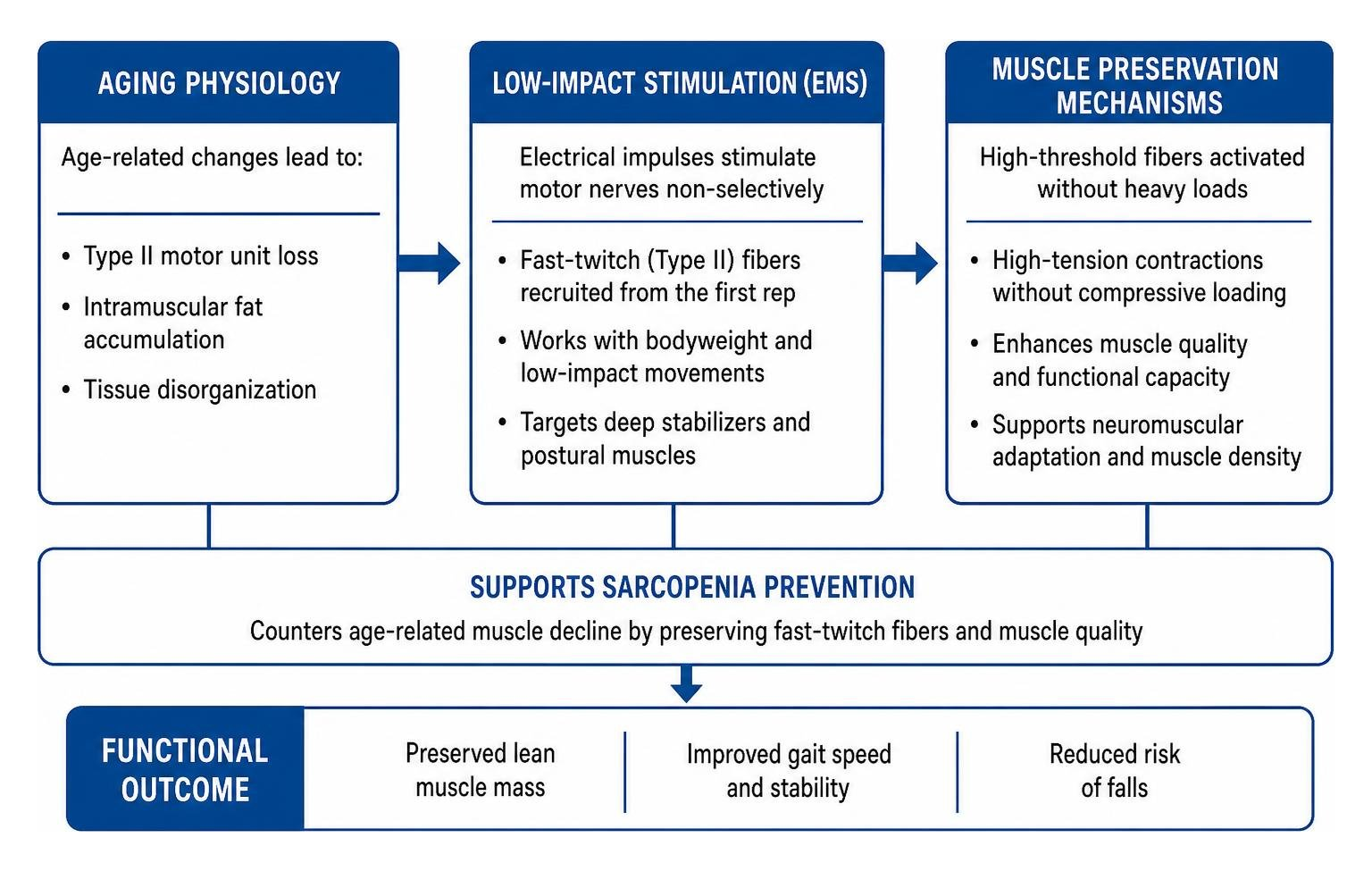 Mechanisms of muscle preservation and sarcopenia prevention through EMS