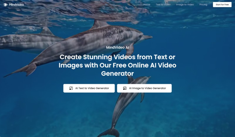 MindVideo preview