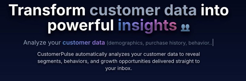 CustomerPulse preview