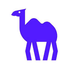 Camel-AI