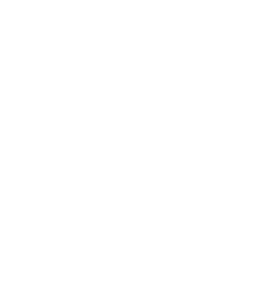Echo AI logo