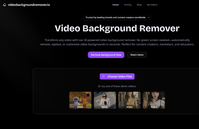 Video Background Remover logo