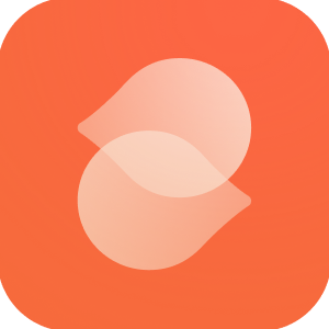 AI Skinny Filter logo