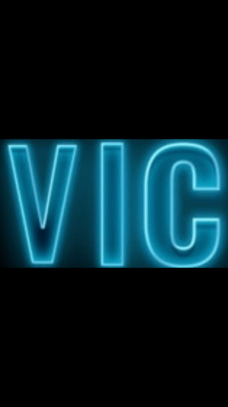 Vic SEO Specialist logo