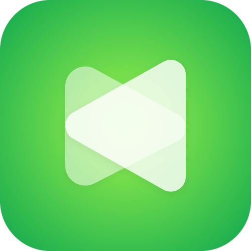 Anyvids.ai logo
