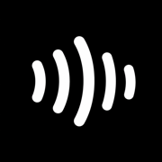 BizMuse AI logo