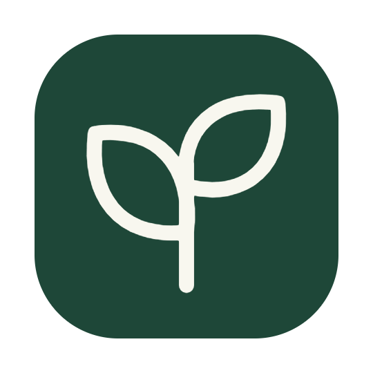 RankSprig logo