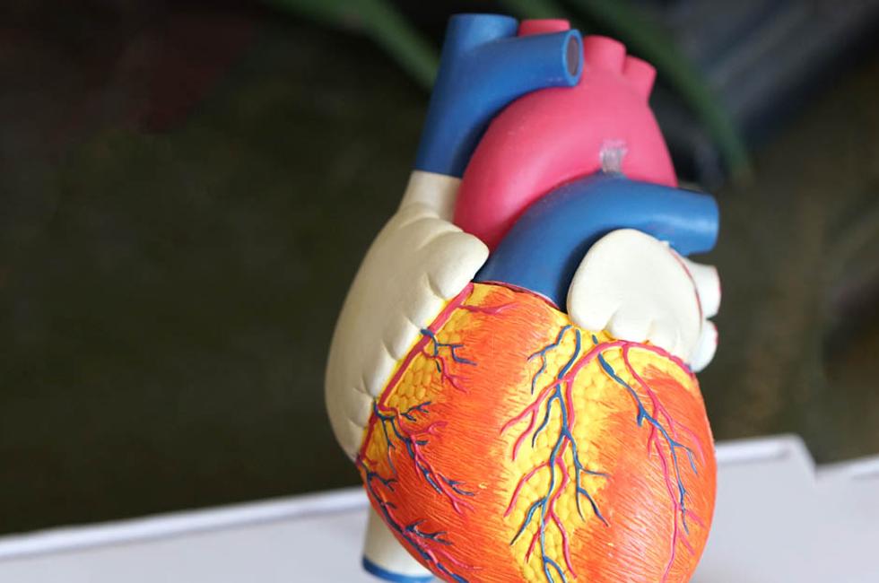 22 Amazing Reasons to Become a Cardiovascular Technologist