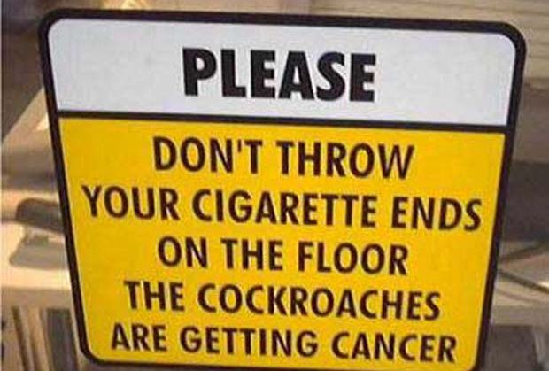 The Roaches Are Getting Cancer