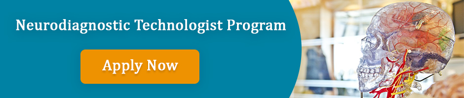Neurodiagnostic Technologist Training Program - AIMS Education