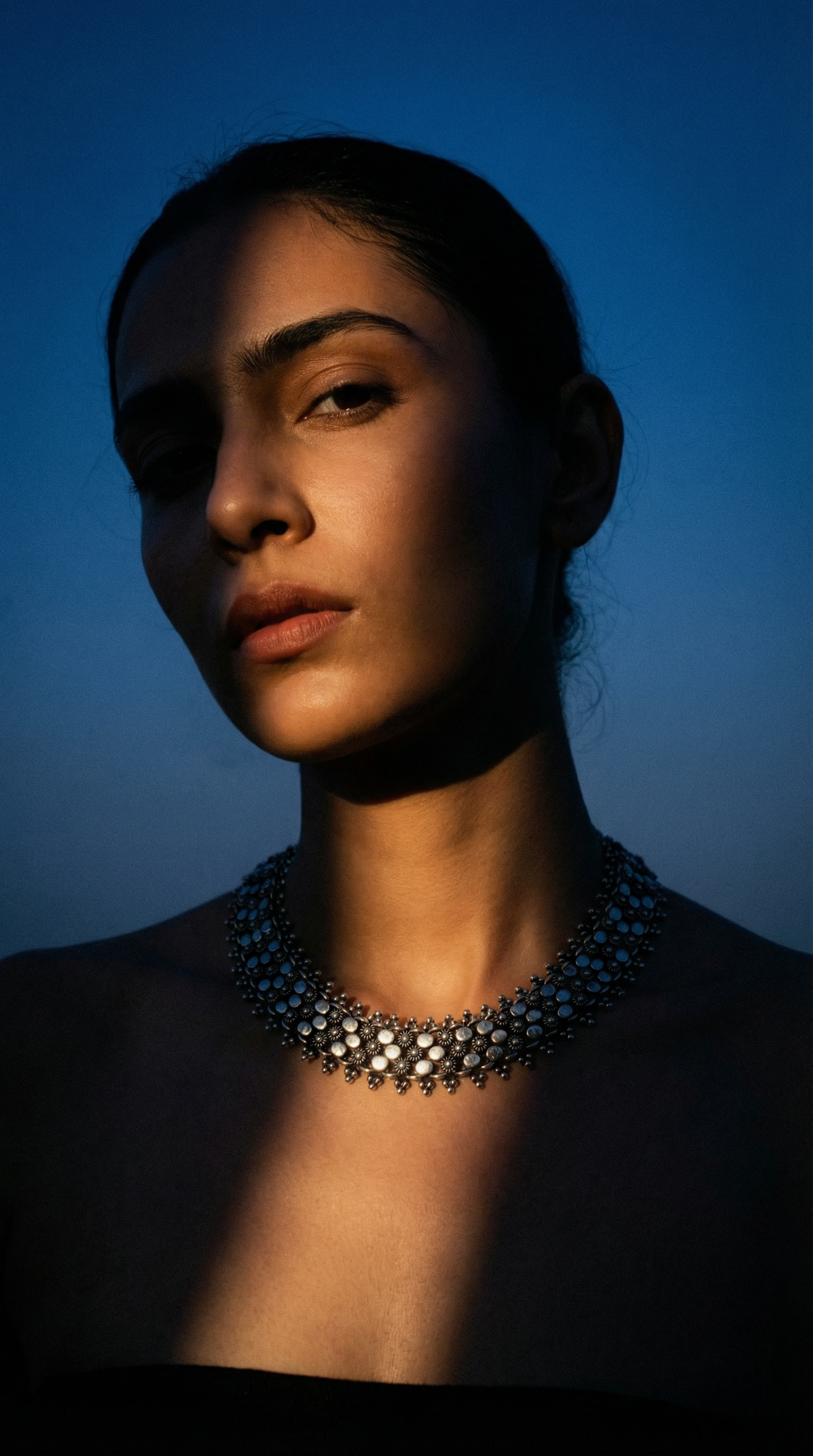 AI product shot of Noir • Naga Necklace w/ Chevron Accent