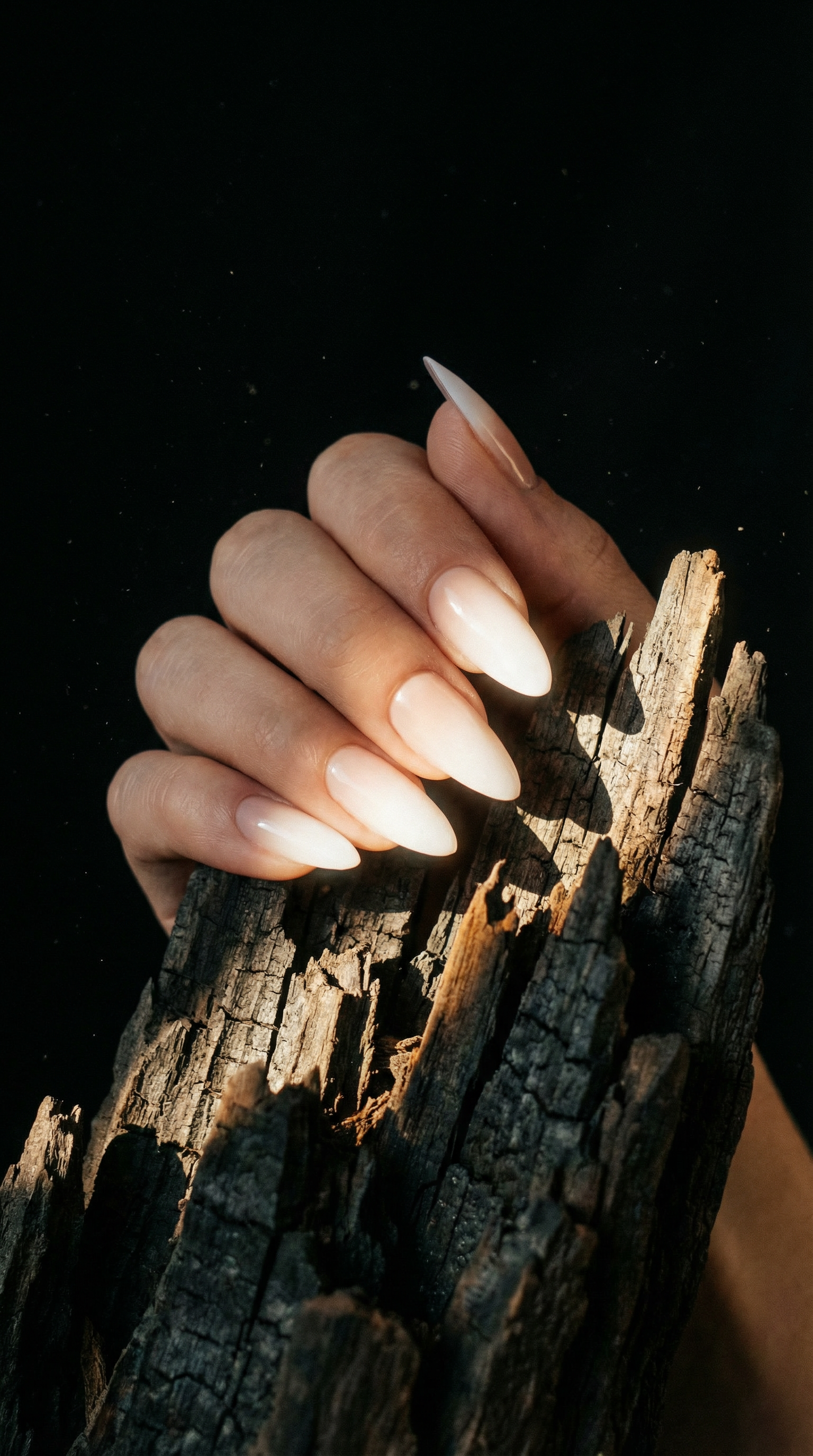 AI product shot of OMBRE RUSH / ALMOND MEDIUM / LIMITED EDITION