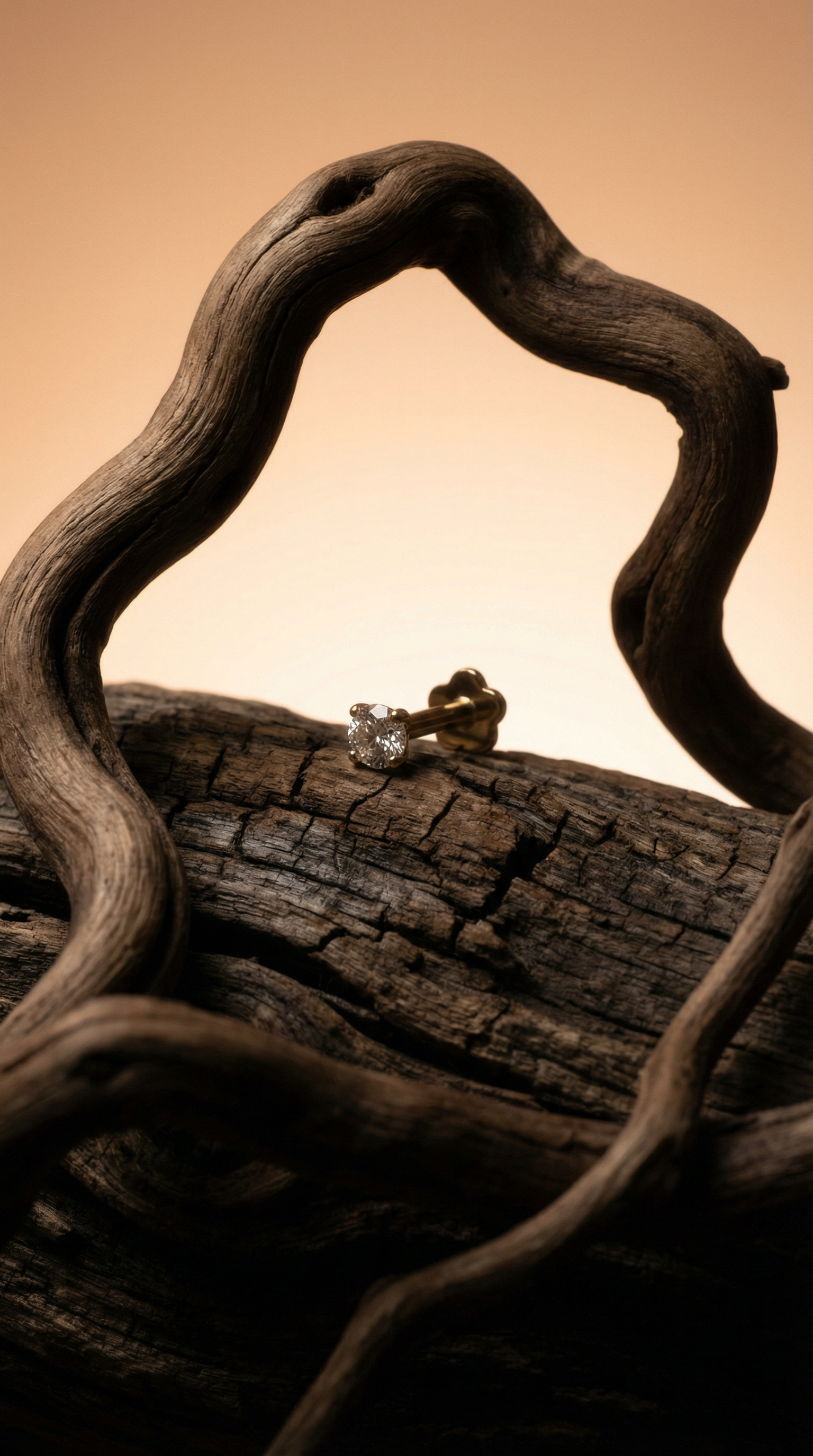 AI product shot of 14K Yellow Gold Baby Solitaire Flatback Earring - 2mm