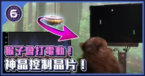 《科技報導》將晶片植入猴子腦裡，用念力就能打電玩？