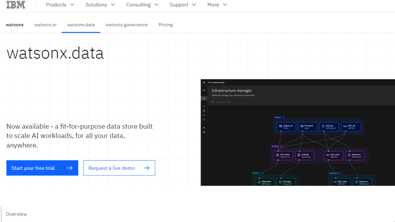 WatsonX.data by IBM screenshot