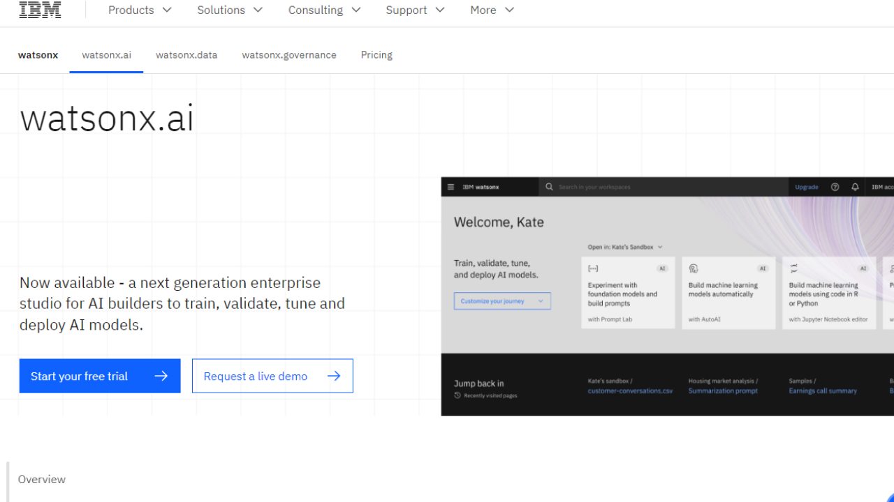 WatsonX.ai by IBM screenshot