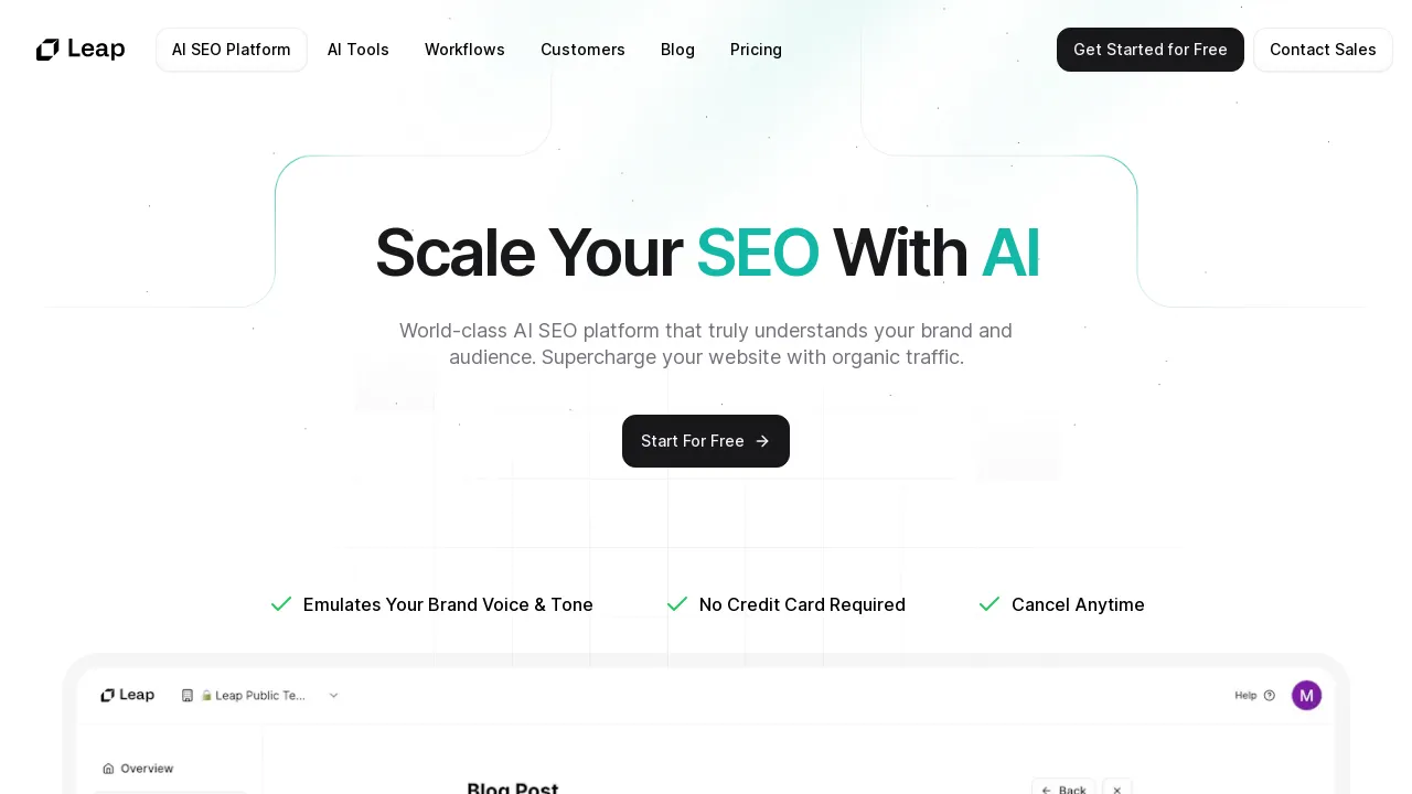 AI SEO by Leap AI screenshot