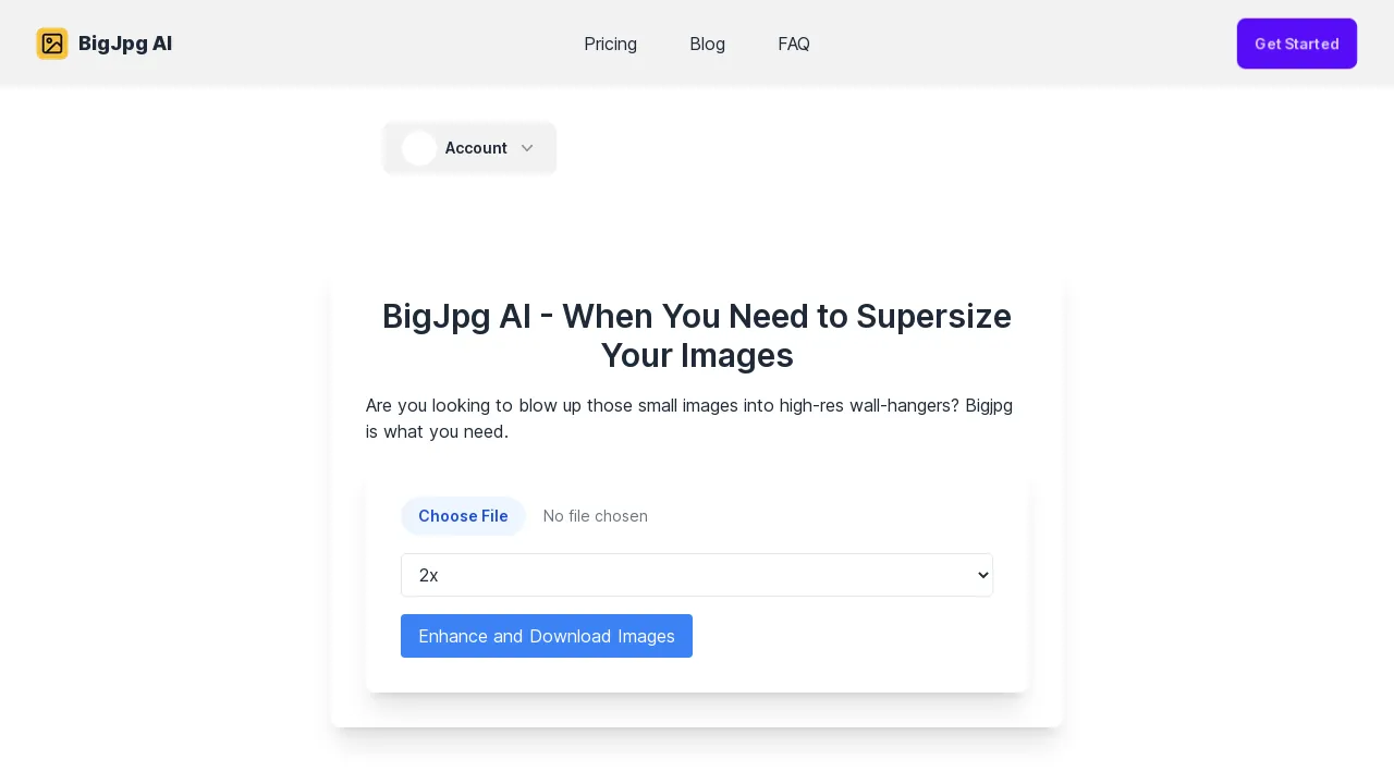BigJpg AI screenshot
