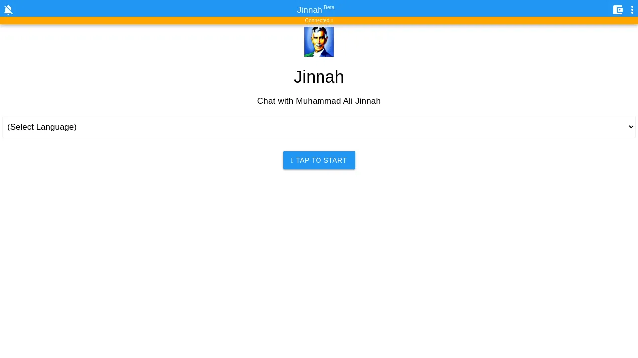 Chat with Jinnah screenshot