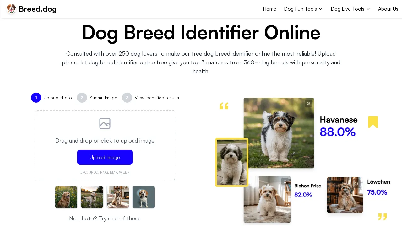 Dog Breed Identifier and dog care tools with AI