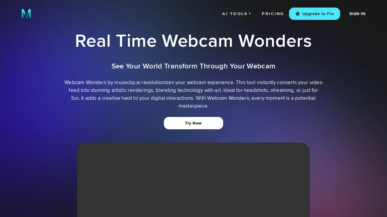 Free Webcam Wonders By Museclip screenshot