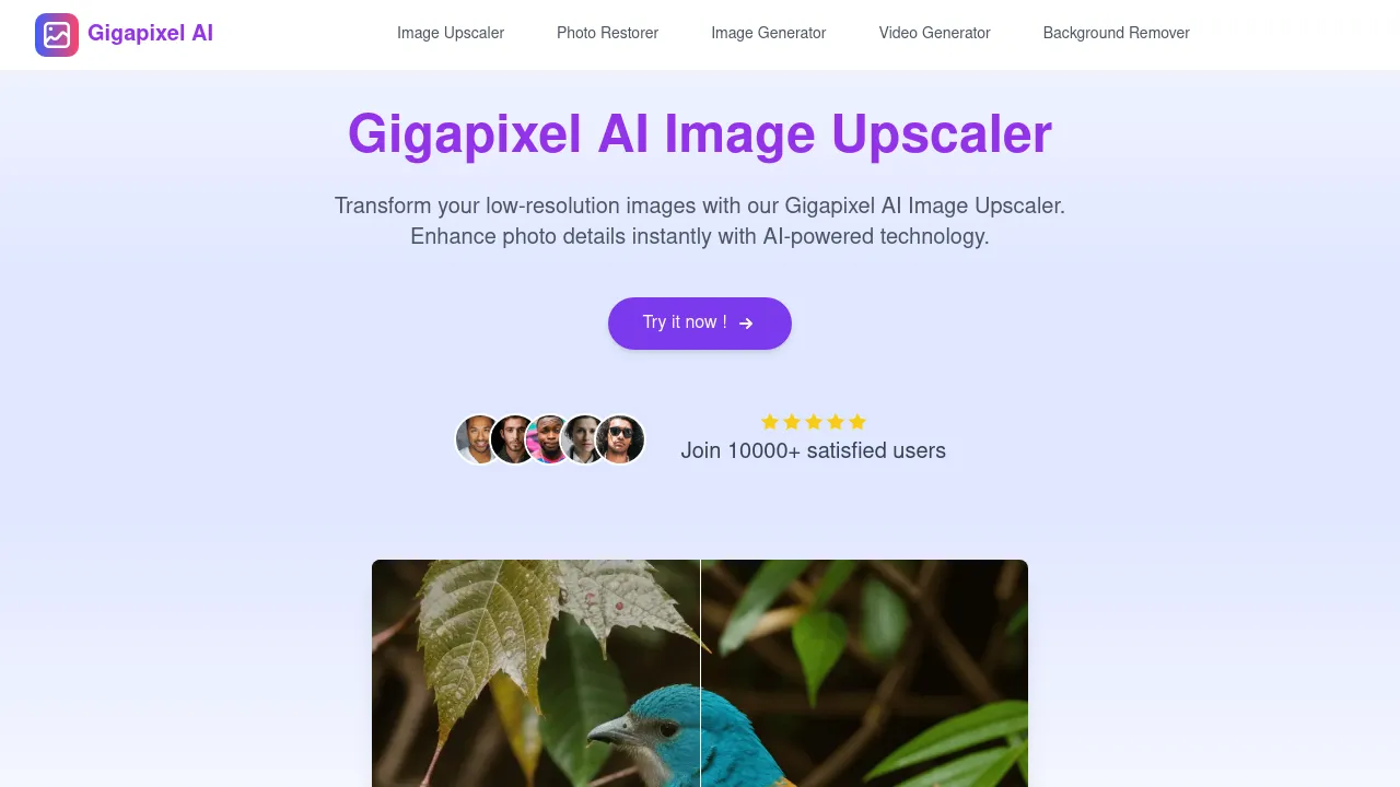 Gigapixel AI Image Upscaler