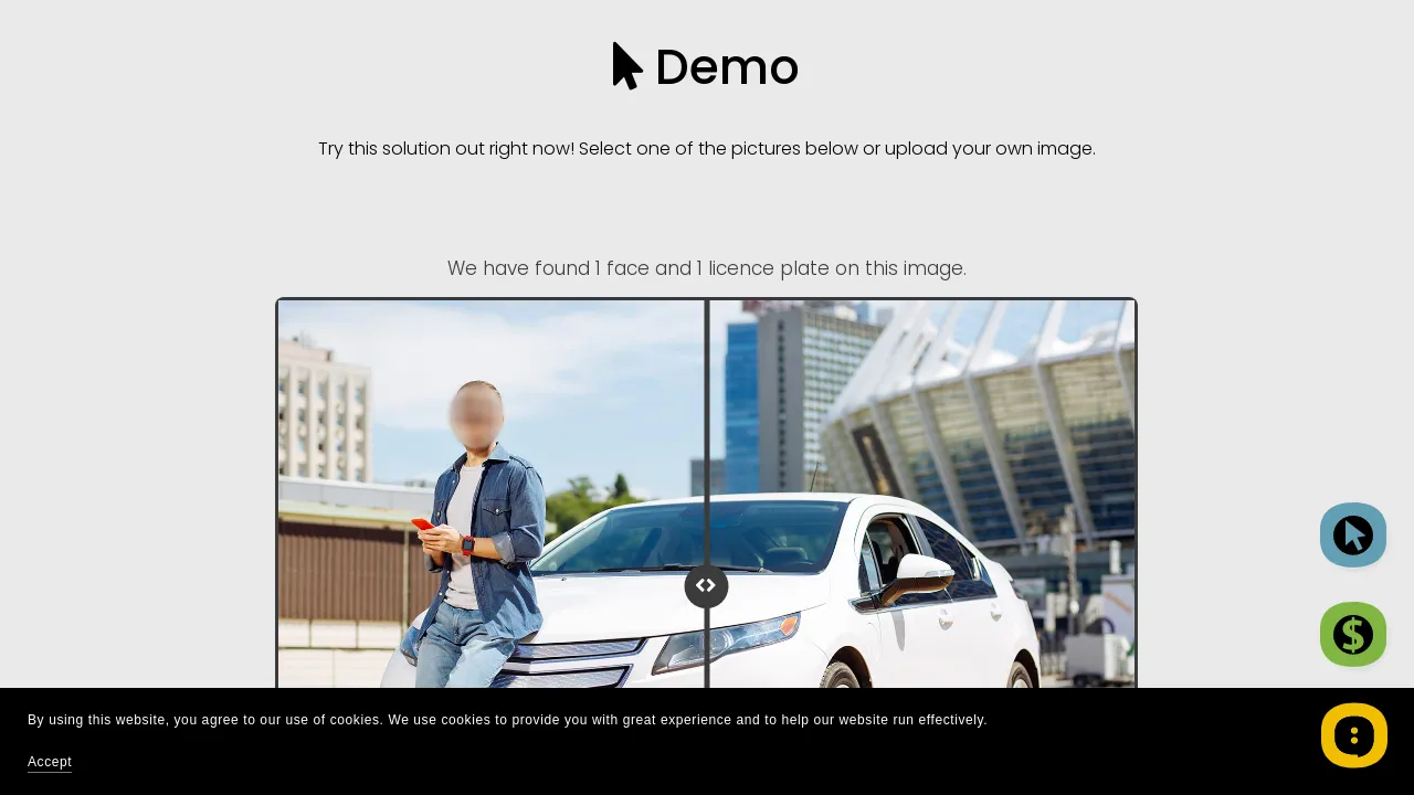 Image Anonymization API screenshot