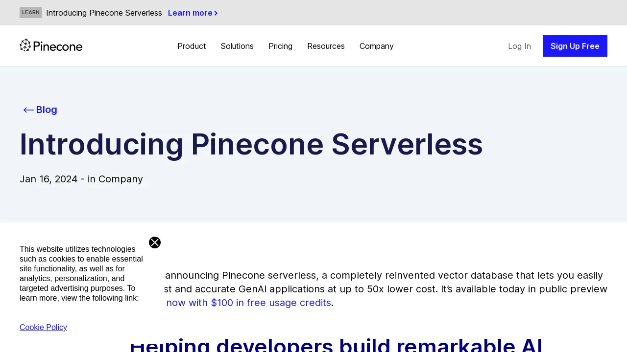 Pinecone Serverless