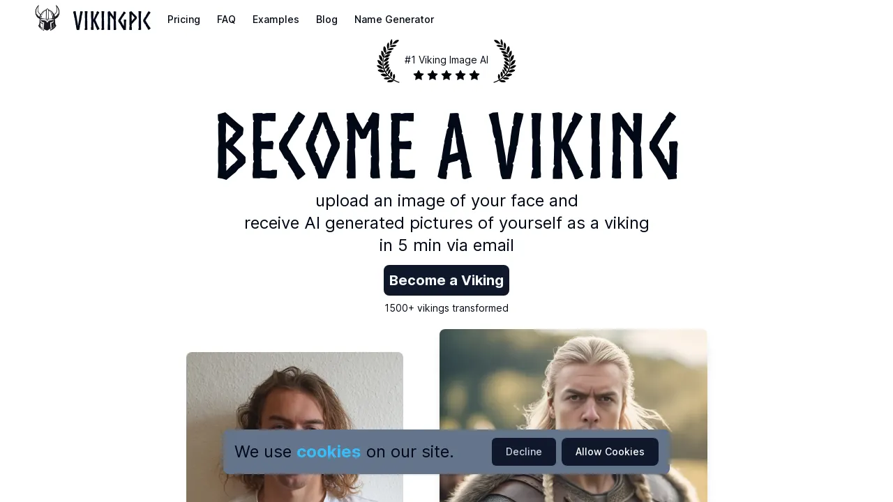 VikingPic screenshot