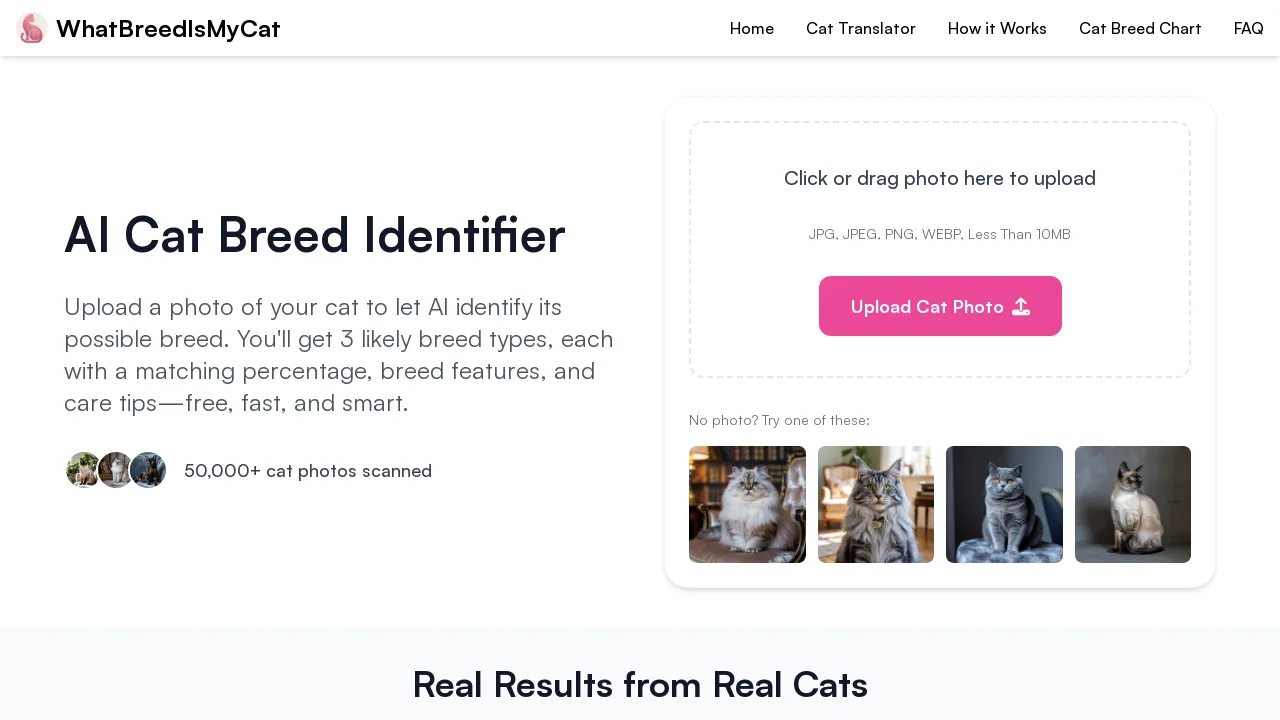 cat breed identifier screenshot