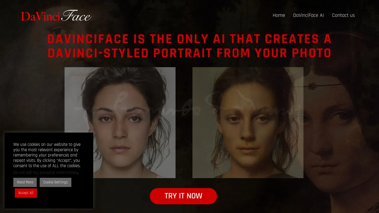 DaVinciFace screenshot