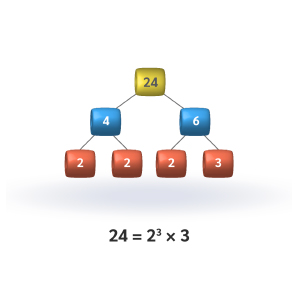 Factor Trees (Factoring Numbers)