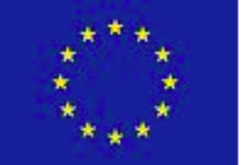 EU Delegation to BiH