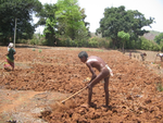 Conditions of Farmers in Bheemana Palli