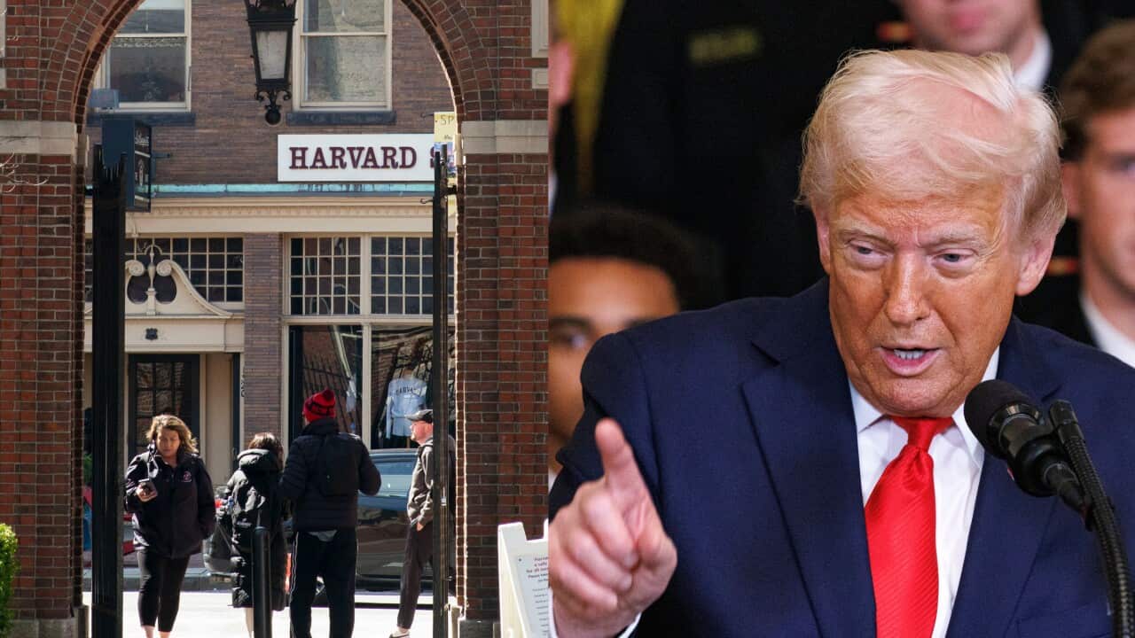 Comparativa campus Harvard vs discurso político