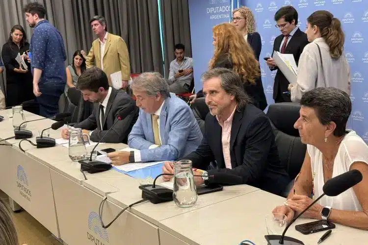 Debate en comisi&oacute;n constitucional