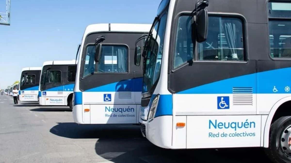 Autobuses de la Red de Colectivos de Neuqu&eacute;n