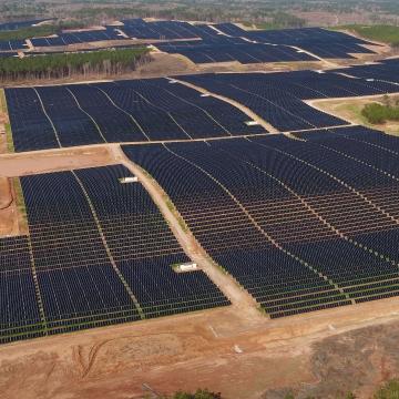Campo de paneles solares organizados en filas